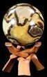 Polished Septarian Sphere - With Stand #43651-1